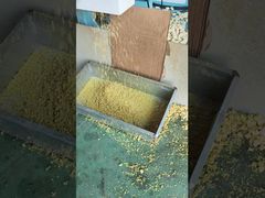 Ligne de production d'extrudeuse d'aliments pour animaux de compagnie 1000 kg/h pour granulés de poisson