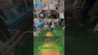 Test de machine flottante d'alimentation pour poissons à double vis de 500 à 800 kg/h pour les clients camerounais