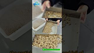 Ligne de production de granulés d'aliments pour poissons DGP-85 | Introduction et démonstration complète du processus#fishfeedproductionline