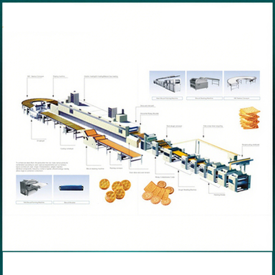 Diverse chaîne de production de biscuit d'acier inoxydable de forme de moule d'extrudeuse automatique d'aliment pour animaux familiers