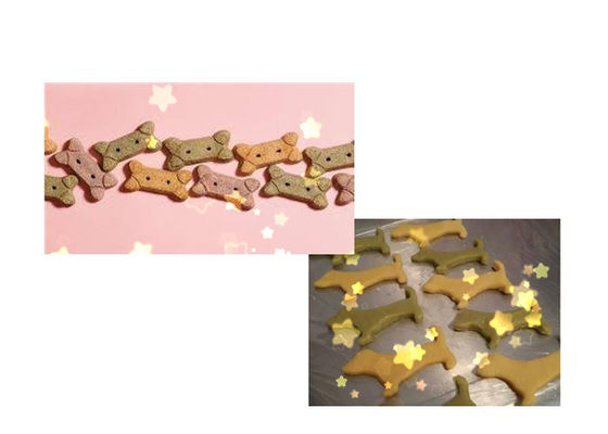 Machine colorée de fabrication de biscuits de chien d'acier inoxydable de DR -280 avec la représentation stable