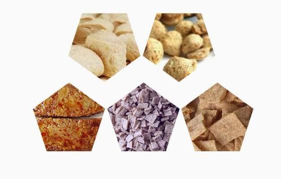 Version anglaise ligne de protéines de soja / machine à faire des morceaux de soja Format AutoCAD