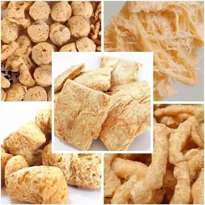 Machine d'extrusion de morceaux de soja végétaux TVP TSP 110kw Certificat CE