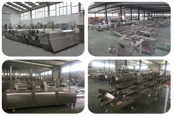 les matrices de viande de chien 400kg/hr traitent former l'écran tactile de PLC de machine