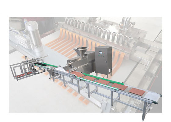 Bâton saccadé de viande de festins faisant le matériel de la machine SUS304