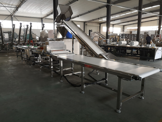 Automatic Pet chewing Auto Meat Strips Dog Treats Processing Line