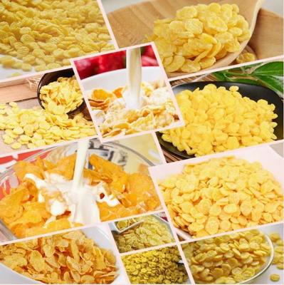 200-500kg Kellogg Céréales de petit déjeuner grillées Flocons de maïs ligne de traitement Snack Food Extruder Machine