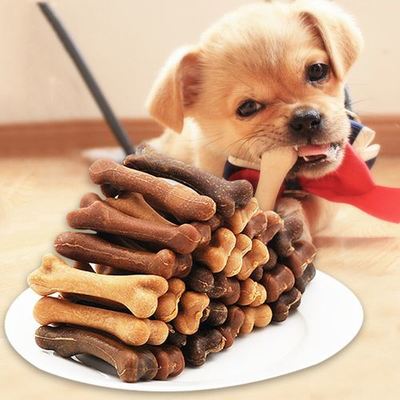 La couleur indigène adaptée aux besoins du client a pressé la machine de mastications de chien d'os de cuir vert