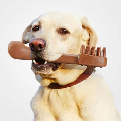 L'animal familier moulé par soins dentaires mâchant des aliments pour chiens faisant la machine pour l'animal familier traite