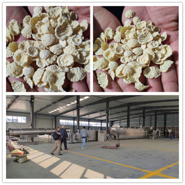 Chaîne de fabrication croustillante de flocons d'avoine de céréale de Kellog/chaîne de production flocons d'avoine